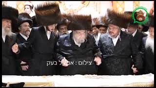 Belzer Rebbe At Sheva Brochos For His Grandson  Sivan 5783 [upl. by Leirraj34]