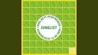 Junglist DJ Zinc Remix [upl. by Einnaf]