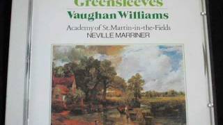 Vaughan Williams  The Lark Ascending 【雲雀飛翔】 [upl. by Buyer262]