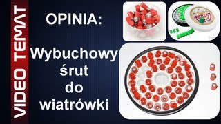 Wybuchowy śrut do wiatrówki  Opinia [upl. by Nalak907]