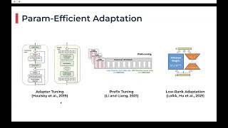 PR435 ParameterEfficient Transfer Learning of Large Language Models [upl. by Einnal]