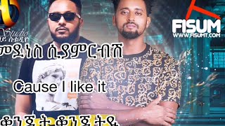 Fisum t ft Ras beat gushim lyrics ጉሽም gushm  Ethiopian new music 2019 [upl. by Adivad]