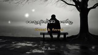 නොදැනුවත් කමට පෙරදා  nodanuwath kamata perada  Ruwan Hettiarachchi  slowed and reverb song [upl. by Ajnek]