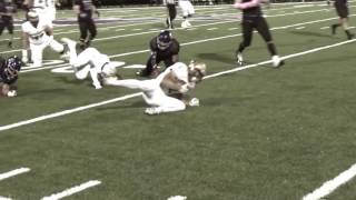 USF Highlight Film [upl. by Soinski]