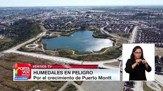 Humedales de Puerto Montt en peligro [upl. by Venuti]