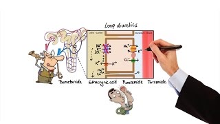 Pharmacology  DIURETICS MADE EASY [upl. by Petigny]