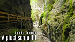 Spektakuläre Schlucht in Dornbirn  Ebnit  Alploch  𝖵𝗈𝗋𝖺𝗋𝗅𝖻𝖾𝗋𝗀  𝖠𝗎𝗌𝗍𝗋𝗂𝖺  4K [upl. by Rad]