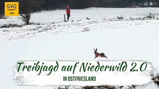 Treibjagd auf Niederwild in Ostfriesland 20  ein herrlicher Jagdtag mit guter Strecke [upl. by Waldo]