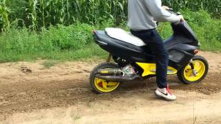 Gilera runner fxr 50 ccmD malossi tuning [upl. by Phyllida752]