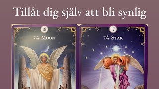 Tarot vägledning💜 Bli den stjärna du längtar efter💫✨ [upl. by Justino]