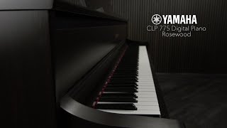 Yamaha CLP 775 Digital Piano Rosewood  Gear4music sound demo [upl. by Frissell821]