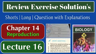 Review Exercise Short and long questions  Class 10 biology  chapter 14 Reproduction  Exercise Sol [upl. by Nazario]