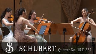 Schubert  String Quartet No 15 in G Major D 887  Esmé Quartet [upl. by Yrrehs]