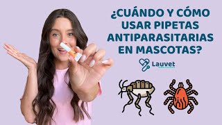 PIPETAS ANTIPARASITARIAS EN MASCOTAS ¿Cuándo usarlas y cómo aplicarlas  Lauvet [upl. by Nael]