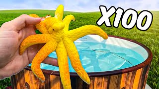 Growing 100 Expanding Sea Creatures in my Hot Tub [upl. by Lehman995]