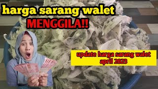 KAGET Harga sarang burung walet APRIL 2023 [upl. by Andrade]