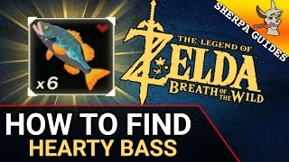 How to Find Hearty Bass  Zora Gear Upgrade  Zelda Breath of the Wild [upl. by Llenor]