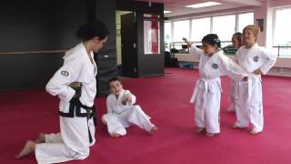 Cours de TaekwonDo 67 ans [upl. by Nordine]