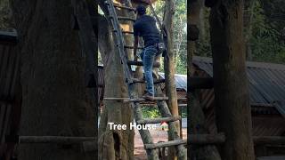 Tree house in forest camping survival lifehacks shorts [upl. by Giacinta]