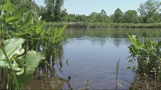 Turning Aquatic Weeds into Fertilizer [upl. by Janot989]