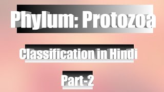 Phylum protozoa classification  Bsc 1st year Class 11 in hindi English [upl. by Enaj]