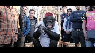 PNL  DA Clip Officiel [upl. by Enitsahc]