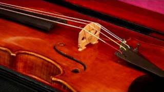 Violins amp Orchestra Instruments  Review of Violin Cases [upl. by Alexandro]