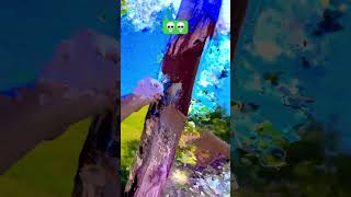 Tree glitch 😰 [upl. by Javler]