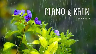 Rain Sounds amp Relaxing Music 247  Piano Music Sleep Study Yoga Stress Relief Meditation [upl. by Tselec]