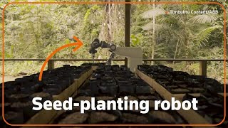 How a robot may help conserve the Amazon rainforest [upl. by Eerised]