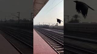 train trainvide indianrailways railwaytrain railway railwaytravel locopilet 😍😍😍 [upl. by Avery]