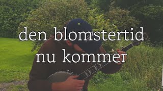 den blomstertid nu kommer clawhammer banjo [upl. by Ynamreg826]