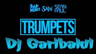 Trumpets Remix  Sak Noel amp Salvi ft Sean Paul quotDj Garibaldiquot [upl. by Dahle292]