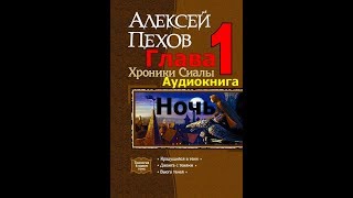 Хроники Сиалы Крадущийся в тени Глава1 Ночь [upl. by Eirrotal]