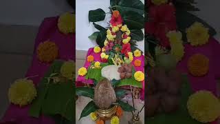 Kedareshwara Vratam karthikapurnima 2024 pujavibes omnamahshivaya kedareshwar [upl. by Ataner]