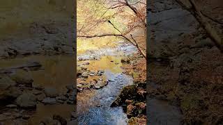 뱀사골 계곡물소리 물소리asmr healingsounds nature [upl. by Barling]