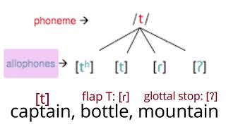 American phonemes and the concept of allophones [upl. by Rustie879]