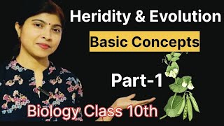 Basic Concepts of Heridity and EvolutionHeridity and EvolutionPart1BiologyClass 10202425 [upl. by Pack]