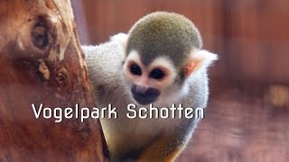 Vogelpark Schotten  Vogelsberg [upl. by Thorne316]