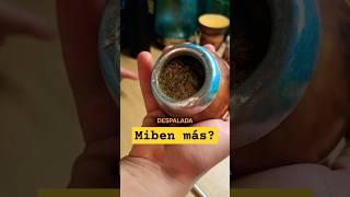 Milyen a szármentes Mate Tea🧉 yerbamate hungary [upl. by Adabelle]