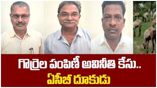 ACB Focus on Sheep Distribution Scam Case  గొర్రెల పంపిణీ అవినీతి కేసు ఏసీబీ దూకుడు  10TV News [upl. by Beck32]