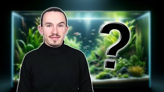 Aquariophilie dEau Douce  Posez Vos Questions Maintenant [upl. by Inge897]