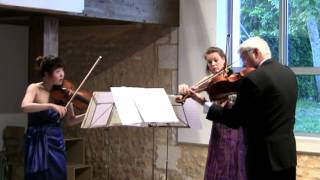 Dvorak Terzetto Op 74 for 2 Violins amp Viola [upl. by Sumahs349]