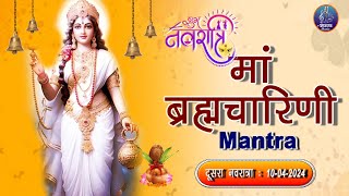 Maa Brahmacharini mantra  Ya Devi Sarvbhuteshu  Dusra Navratra  Shubh Navratri [upl. by Llerud464]