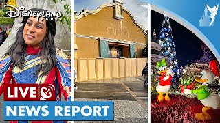 📣 Disneyland Paris LIVE NEWS REPORT 13 November 2023 [upl. by Atteuqahs946]