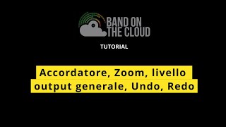 4 Accordatore e Zoom [upl. by Byrn]