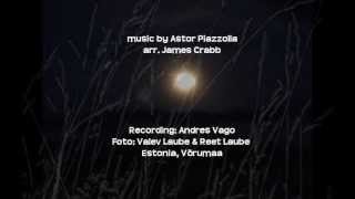 Ausencias by Piazzolla [upl. by Luba]