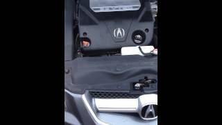 2008 Acura TL Squeaking [upl. by Eiboj]