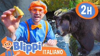 Blippi Dà da mangiare agli Animali dello Zoo e Gioca con loro  Blippi in Italiano  Video educativi [upl. by Lytsyrk854]