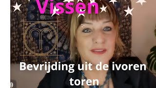 Vissen bevrijding uit de ivoren toren nov 24 lartistic6924gmailcom [upl. by Dyson444]